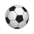 圣劳伦logo